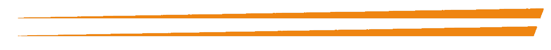 Standard EcoRover Features